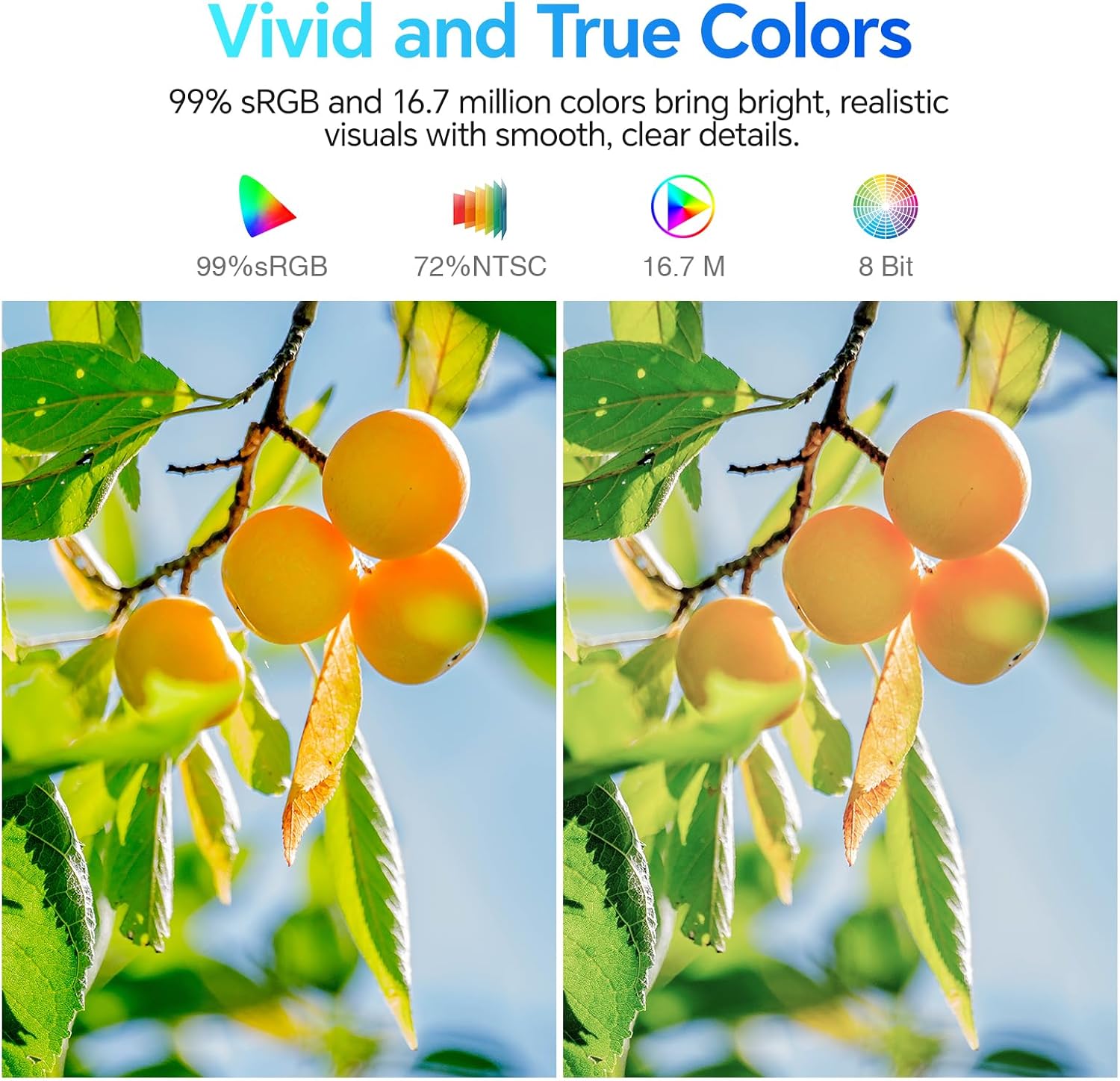 KOORUI E2212F 22 Zoll VA FHD 100Hz Business Monitor