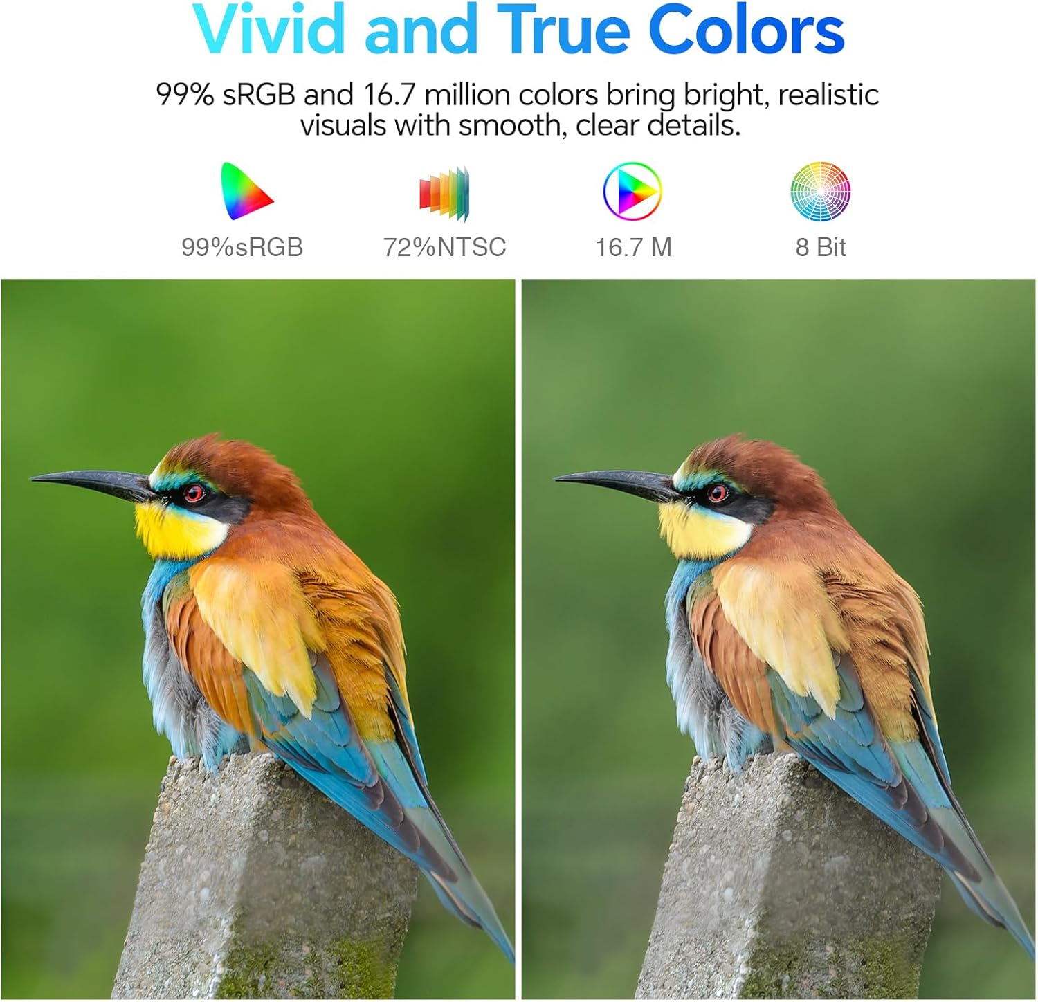 KOORUI E2412F 24-Zoll VA FHD 100Hz Business-Monitor